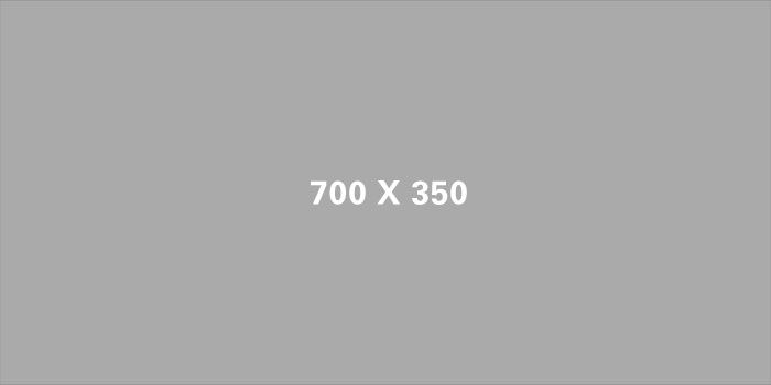 700x350px gray placeholder