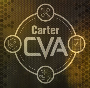 Carter Cat Customer Value Agreement