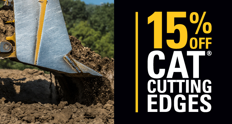 A Cut Above The Rest
