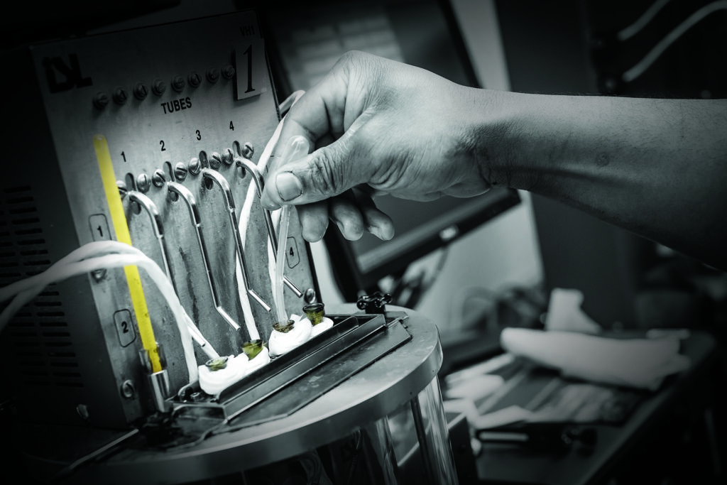 Person working on fuel polishing
